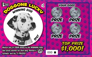 DOGGONE LUCKY